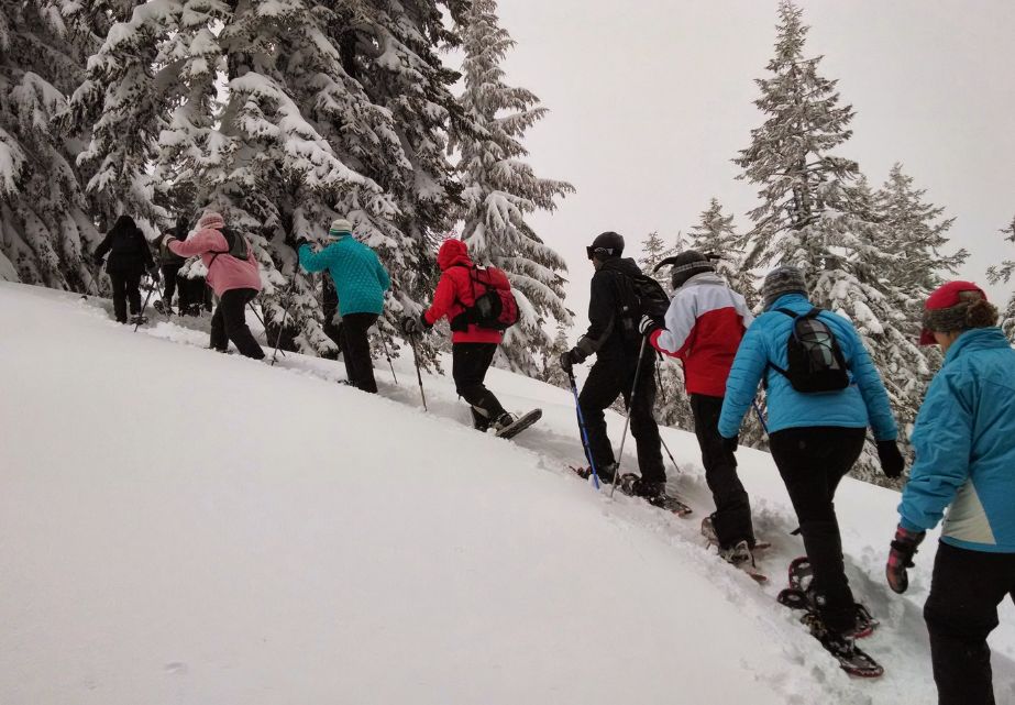 group snowshoe hiking winter forest