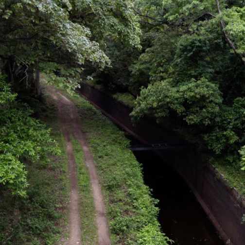 aliyar canal path amidst greenery