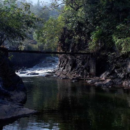 manambolly forest trek river view