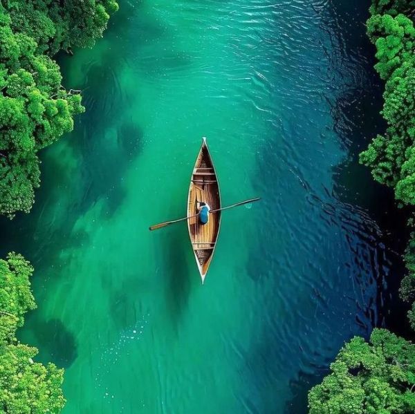 vibrant boat floating lush greenery remote lake